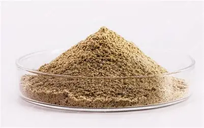 Yeast Extract Powder
